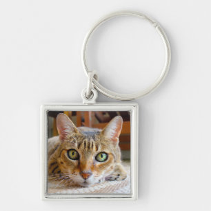 Süße Katzen-Schlüsselanhänger Schlüsselanhänger
