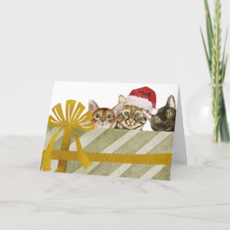 Süße Katzen und Weihnachtspaket Feiertagskarte