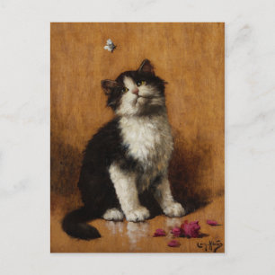Süße Katzenmalerei Postkarte
