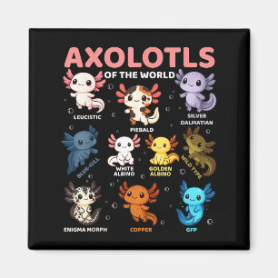 Süße Kawaii Axolotl der Welt Lustiger Axolotl Ty Magnet