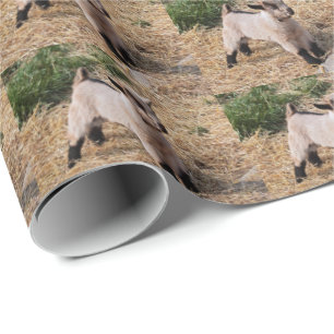 Süße Kindergeschenkpapier Geschenkpapier