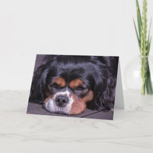 Süße King Charles Cavalier-Hunde-Geburtstagskarte Karte