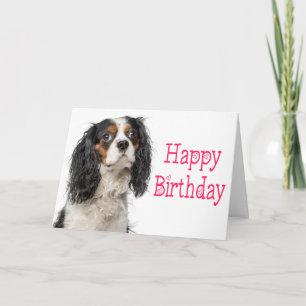 Süße King Charles Cavalier-Hunde-Geburtstagskarte Karte