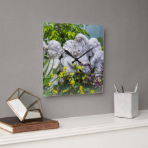 Süße kleine Engel...