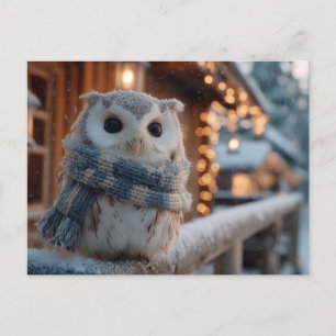 Süße kleine Eule mit gestrickter Winter-Schal Postkarte