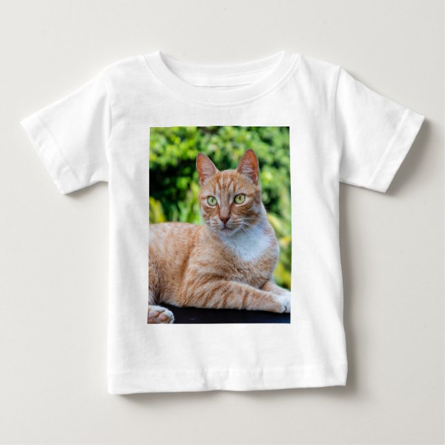 Süße kleine Kätzchen Baby T-shirt (Vorderseite)