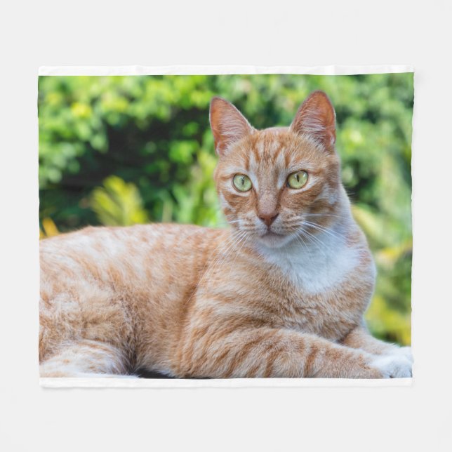 Süße kleine Kätzchen Fleecedecke (Vorderseite (Horizontal))
