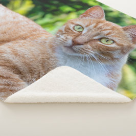 Süße kleine Kätzchen Sherpadecke