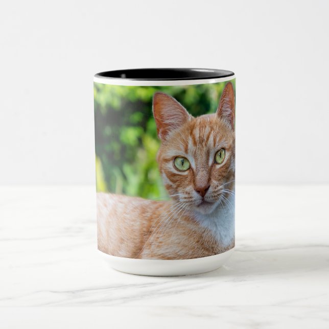 Süße kleine Kätzchen Tasse (Zentrum)