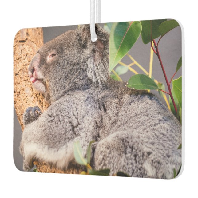 Süße kleine Koala Autolufterfrischer (Links)