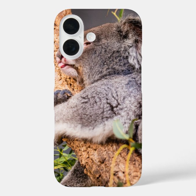Süße kleine Koala Case-Mate iPhone Hülle (Rückseite)