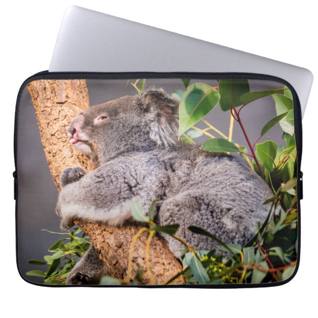 Süße kleine Koala Laptopschutzhülle (Vorderseite)