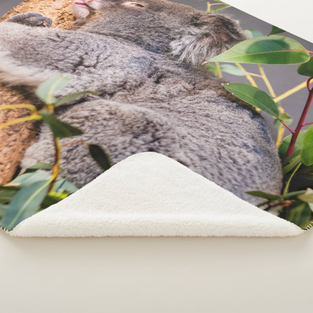 Süße kleine Koala Sherpadecke (3/4)