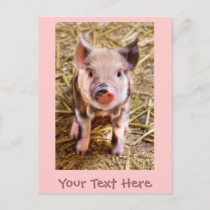 Süße kleine rosa Ferkel-Postkarte Postkarte