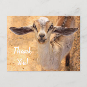 Süße kleine Ziege Danke-Postkarte Postkarte