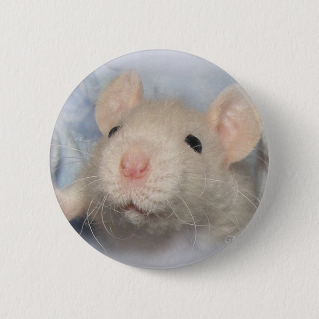 Süsse-Knopf Button (Vorderseite)