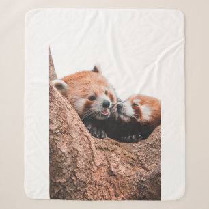 SÜSSE KOALA-BÄREN-FAMILIE SHERPADECKE