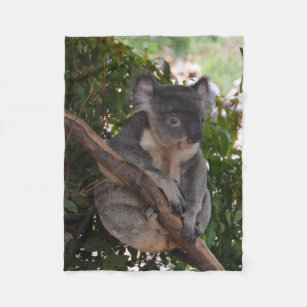 Süße Koala-Bärn-Fleece-Decke Fleecedecke