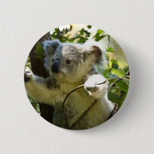 Süsse Koala Button