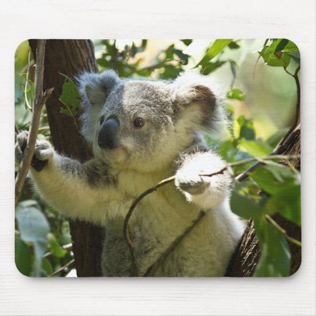 Süsse Koala Mousepad (Vorne)