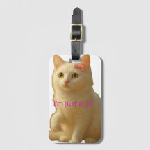 Süße Kokette Weiße Katze "Ich bin einfach nur ein