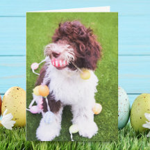 Süße Labradoodle-Oster-Eiersuchkarte