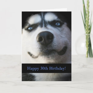 Süße lächelnde Husky lustige 30. Geburtstagskarte Karte