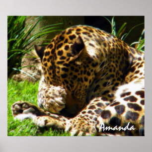 Süße Leopard Tierfotografie Wandkunst Poster