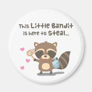 Süße Liebe Kleiner Maskierter Bandit Waschbär Magn Magnet
