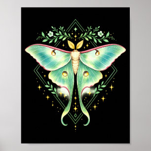 Süße Luna-Motte Schöner Schmetterling Insektenlieb Poster