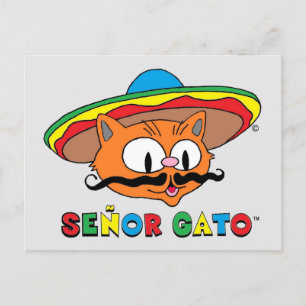 Süße lustige farbenfrohe Cartoon-Katze Cinco de Ma Postkarte