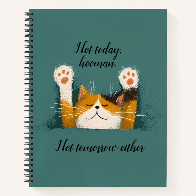 Süße lustige Katzennickerchen Notizbuch (Vorderseite)