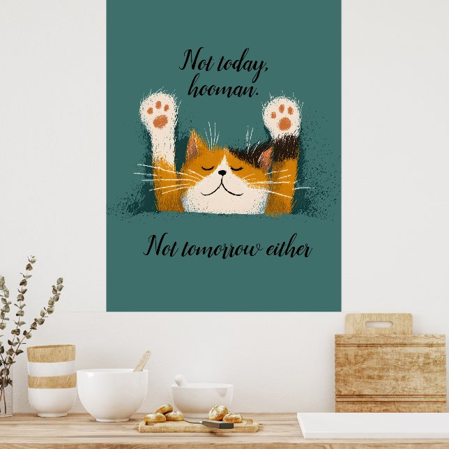 Süße lustige Katzennickerchen Poster (Küche)