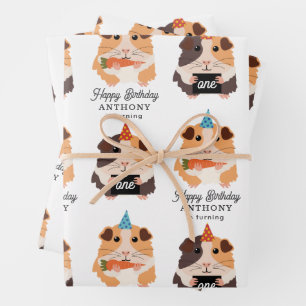 Süße lustige Meerschweinchen Haustier Kinder Gebur Geschenkpapier Set