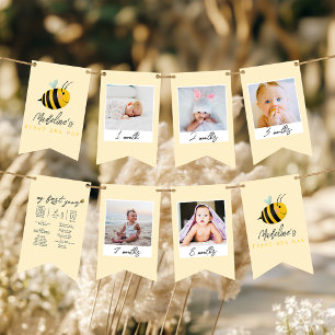 Süße Mädchen 1. Bienen-Tag Geburtstags-Meilenstein Wimpelkette
