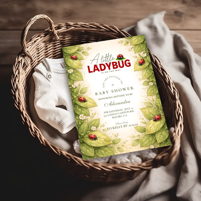 Süße Marienkäfer-Frühlings-Baby-Party Einladung (Von Creator hochgeladen)