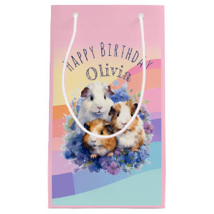 Süße Meerschweinchen Haustiere Hübsche Alles Gute Kleine Geschenktüte