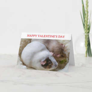 Süße Meerschweinchen Valentinstagskarte Feiertagskarte