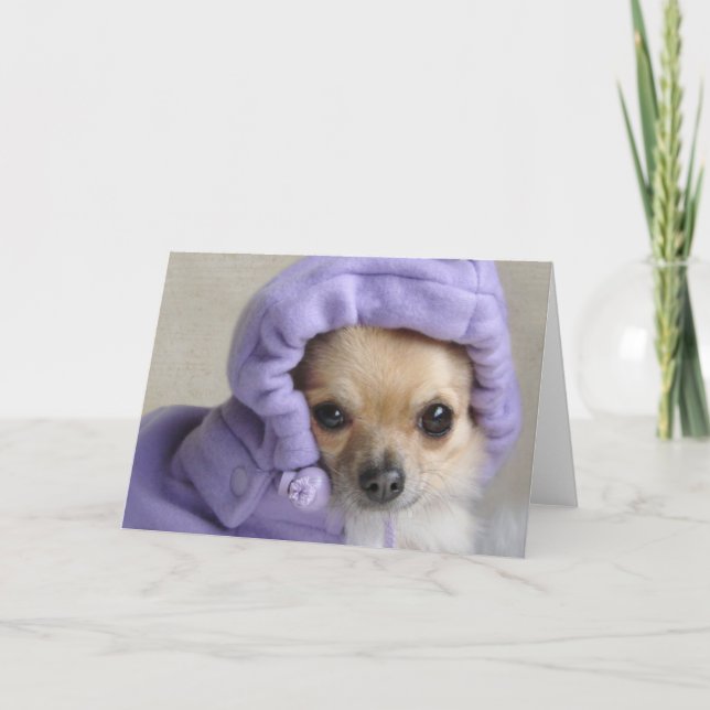 Süße Minxgrußkarte (kein Text) Karte (Vorderseite)