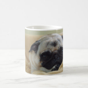 Süße Mops-Tasse Tasse