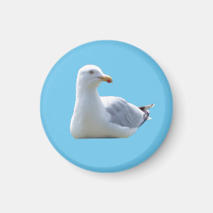 Süße Möwe ruht friedliche blaue Küstenlandschaft r Magnet