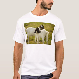 Süße niedliche Babyziegen auf der Weide T-Shirt