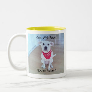 Süße Niedliche Welpen Hund Seelengefühl bald gut w Zweifarbige Tasse