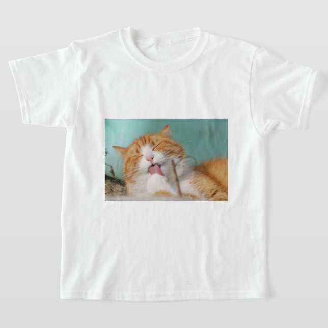 Süße orange Katze bei der Körperpflege T-Shirt (Ablage )