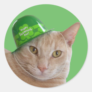 Süße orange Katze mit grünem irischen Hut Runder Aufkleber