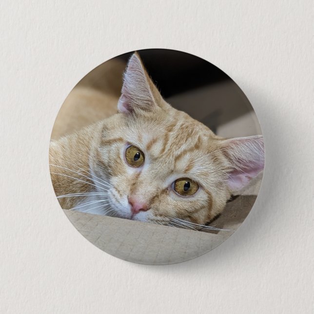 Süße Orange Tabby Katze Button (Vorderseite)