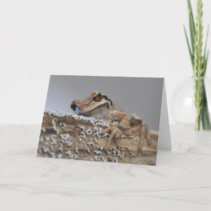 Süsse Pacific Tree Frog-Framework Art Card Karte