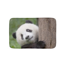 Süße Panda-Bärn-Malerei