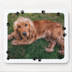 Süße Pfotenabdrücke Weiße Umrandung Haustierfoto Mousepad