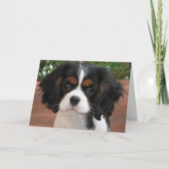 Süsse Pie Karte (Vorderseite)